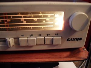 старо-радио-елица