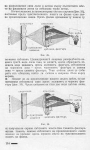 първите-цветни-филми